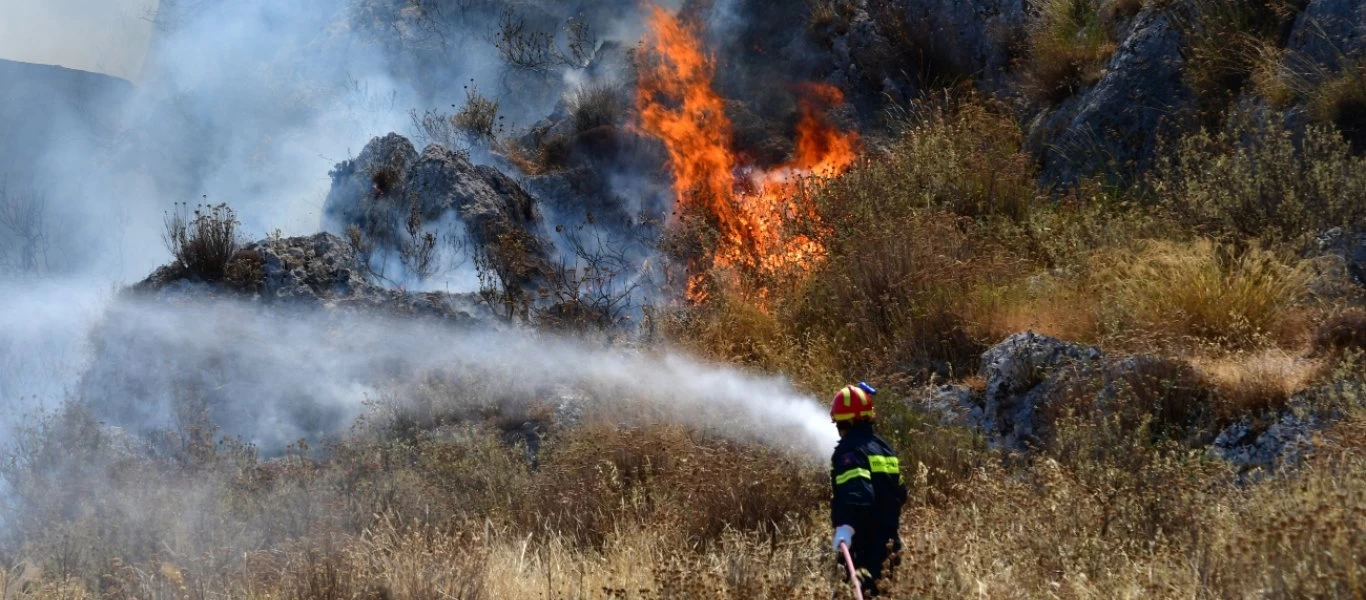 Έβρος: Δύο πύρινα μέτωπα στην ευρύτερη περιοχή αυτή την ώρα